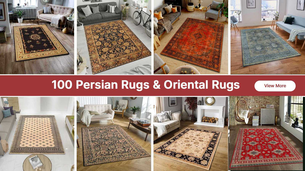 best vacuum for oriental rugs 2021