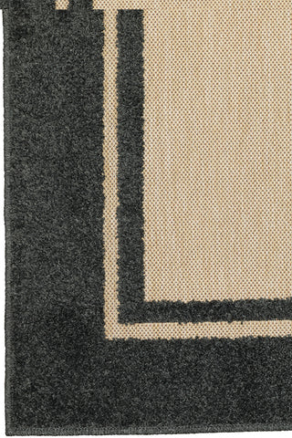 100% Polypropylene Classic  Indoor/Outdoor Area Rug