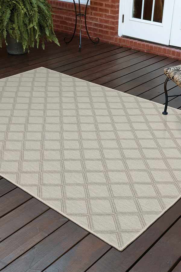 100% Polypropylene Vintage  Indoor/Outdoor Area Rug