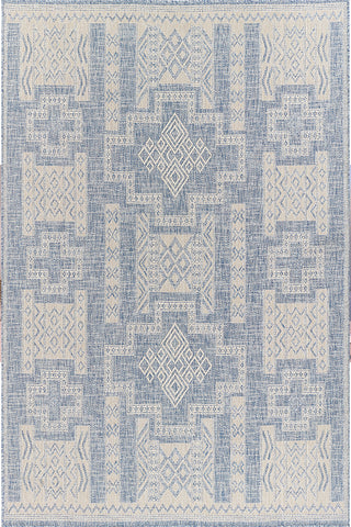 100% Polypropylene Rectangle Indoor/Outdoor Area Rug