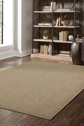 100% Polypropylene Vintage  Indoor/Outdoor Area Rug