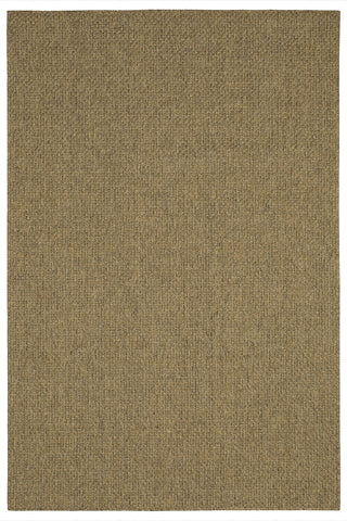 100% Polypropylene Vintage  Indoor/Outdoor Area Rug