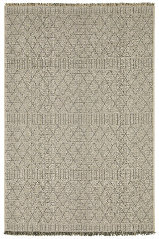 100% Polypropylene Vintage  Indoor/Outdoor Area Rug