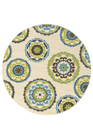 100% Polypropylene Vintage  Indoor/Outdoor Area Rug