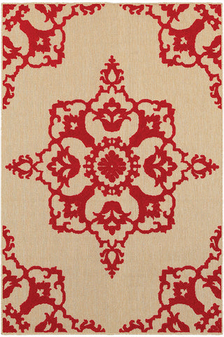 100% Polypropylene Vintage  Indoor/Outdoor Area Rug