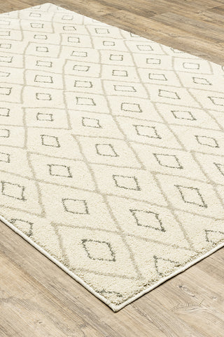 100% Polypropylene Vintage  Indoor Area Rug