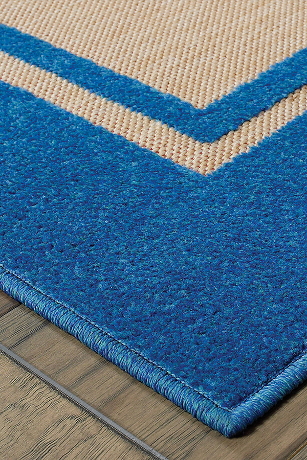 100% Polypropylene Classic  Indoor/Outdoor Area Rug