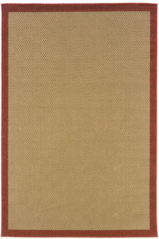 100% Polypropylene Vintage  Indoor/Outdoor Area Rug