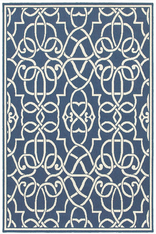 100% Polypropylene Vintage  Indoor/Outdoor Area Rug