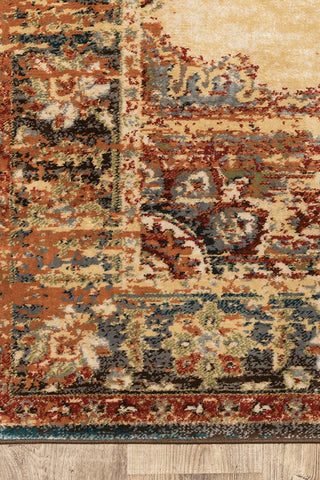 100% Polypropylene Vintage  Indoor Area Rug