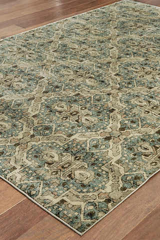 100% Polypropylene Vintage  Indoor Area Rug