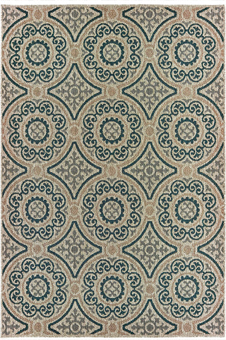 100% Polypropylene Vintage  Indoor/Outdoor Area Rug