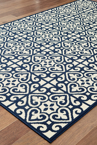 100% Polypropylene Vintage  Indoor/Outdoor Area Rug