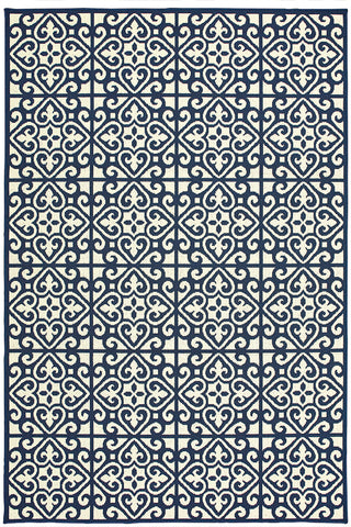 100% Polypropylene Vintage  Indoor/Outdoor Area Rug