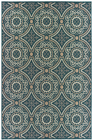 100% Polypropylene Vintage  Indoor/Outdoor Area Rug