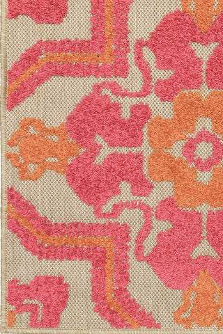 100% Polypropylene Vintage  Indoor/Outdoor Area Rug