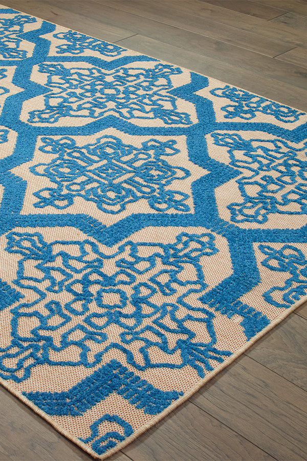 100% Polypropylene Vintage  Indoor/Outdoor Area Rug