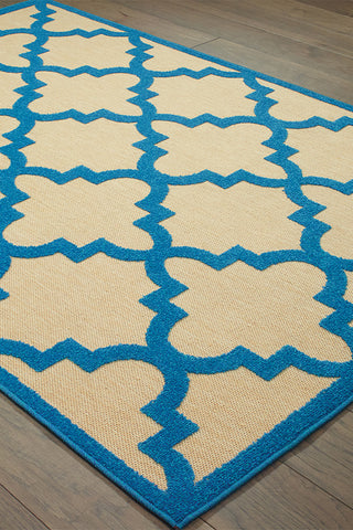 100% Polypropylene Vintage  Indoor/Outdoor Area Rug