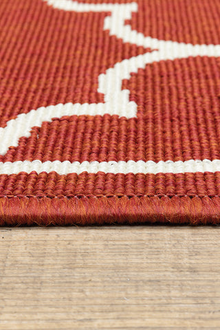 100% Polypropylene Vintage  Indoor/Outdoor Area Rug