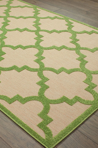 100% Polypropylene Vintage  Indoor/Outdoor Area Rug