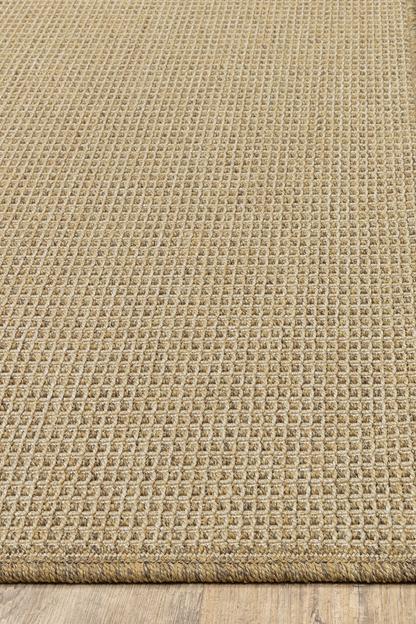 100% Polypropylene Vintage  Indoor/Outdoor Area Rug