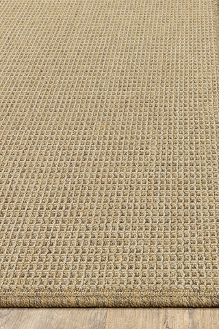 100% Polypropylene Vintage  Indoor/Outdoor Area Rug