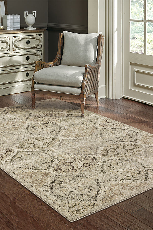 100% Polypropylene Vintage  Indoor Area Rug