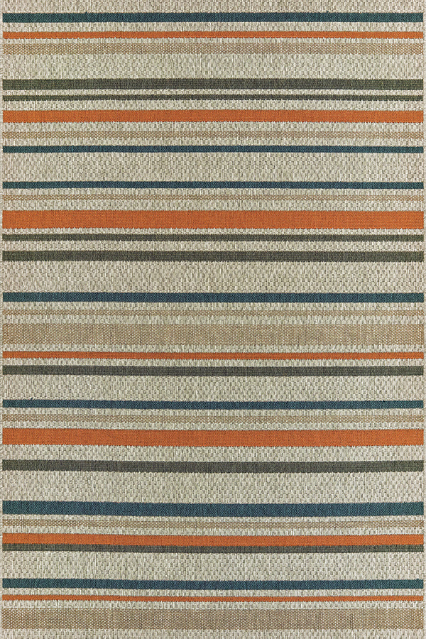 100% Polypropylene Vintage  Indoor/Outdoor Area Rug