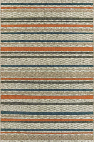 100% Polypropylene Vintage  Indoor/Outdoor Area Rug