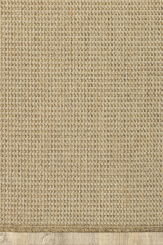 100% Polypropylene Vintage  Indoor/Outdoor Area Rug