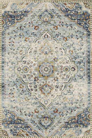 100% Polypropylene Vintage  Indoor Area Rug