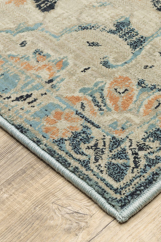 100% Polypropylene Vintage  Indoor Area Rug