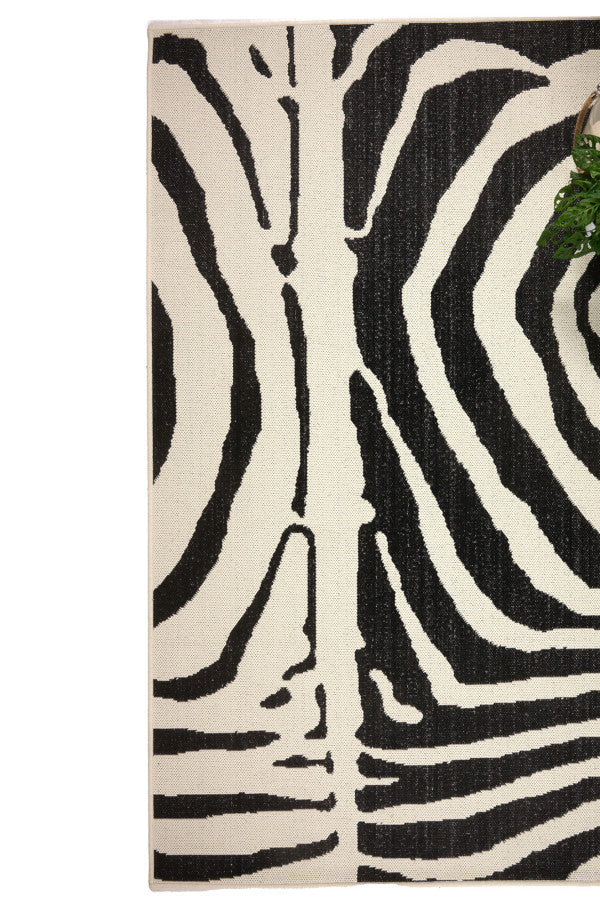 Cape Town Black Area Rug