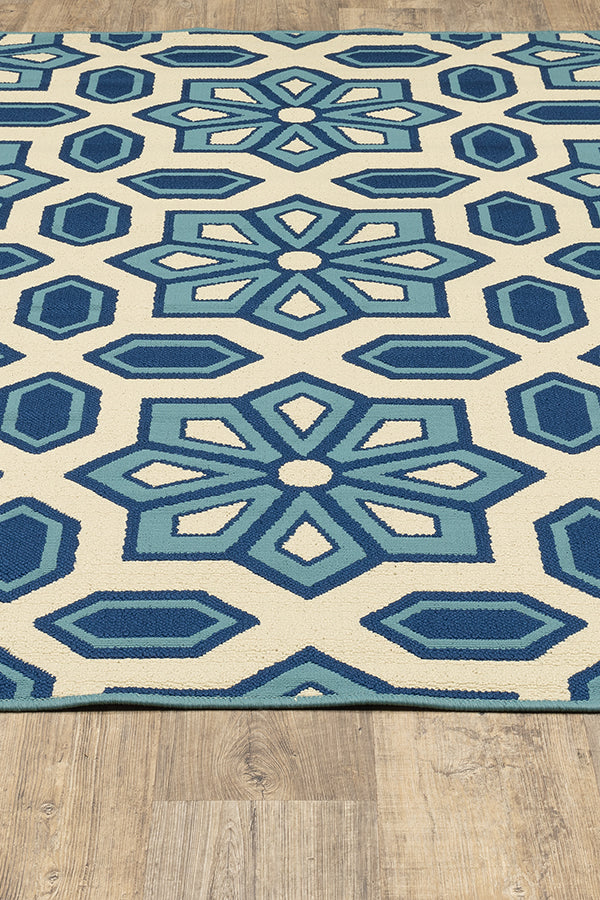 100% Polypropylene Vintage  Indoor/Outdoor Area Rug