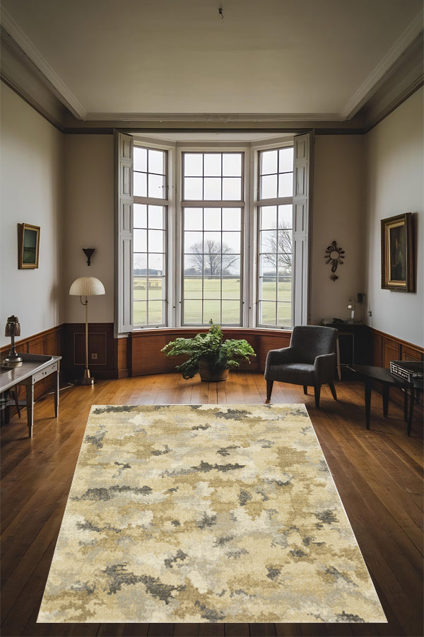 100% Polypropylene Modern  Indoor Area Rug