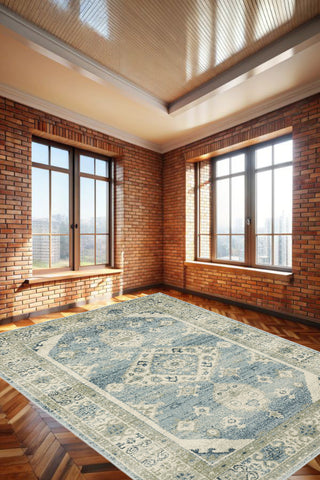 100% Polypropylene Vintage  Indoor Area Rug