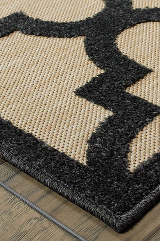 100% Polypropylene Vintage  Indoor/Outdoor Area Rug