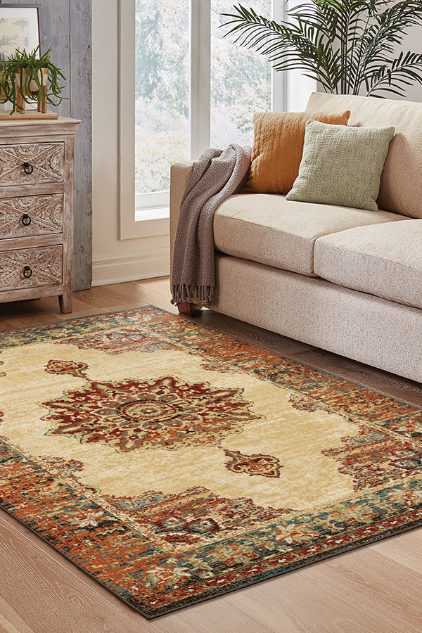 100% Polypropylene Vintage  Indoor Area Rug