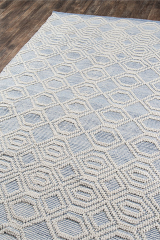 100% PET/Recycled Plastic Rectangle Indoor Area Rug