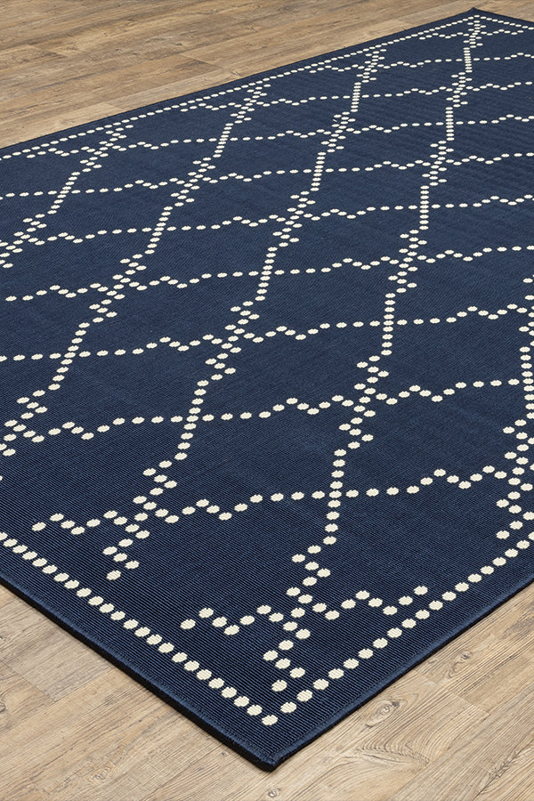 100% Polypropylene Vintage  Indoor/Outdoor Area Rug