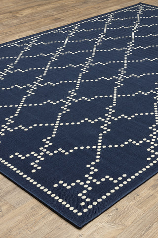 100% Polypropylene Vintage  Indoor/Outdoor Area Rug