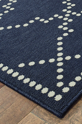 100% Polypropylene Vintage  Indoor/Outdoor Area Rug