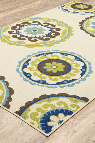 100% Polypropylene Vintage  Indoor/Outdoor Area Rug