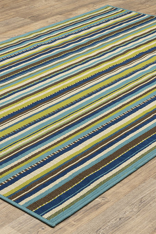 100% Polypropylene Vintage  Indoor/Outdoor Area Rug