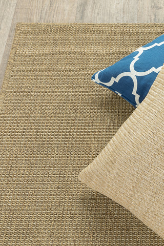 100% Polypropylene Vintage  Indoor/Outdoor Area Rug