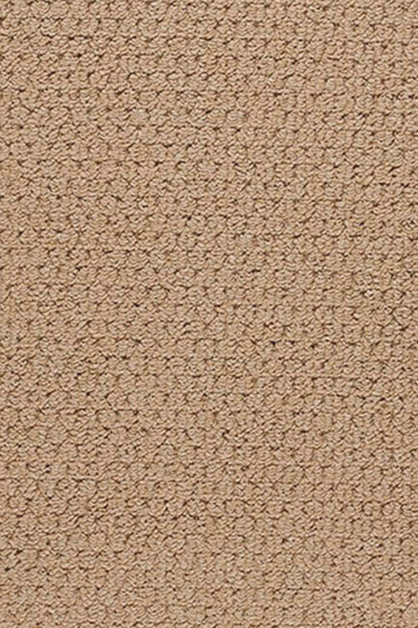 Creative Concepts-Raffia Canvas Parrot Area Rug