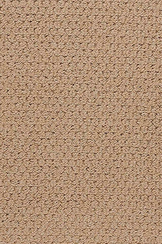 Creative Concepts-Raffia Canvas Parrot Area Rug