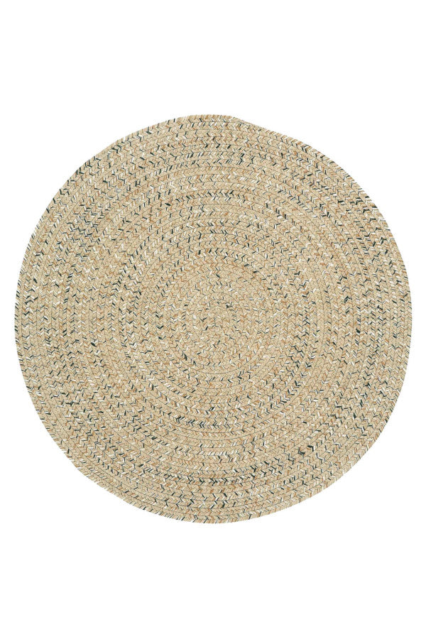 Sea Glass Shell Area Rug