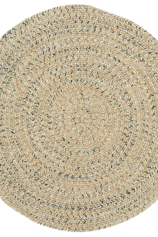 Sea Glass Shell Area Rug