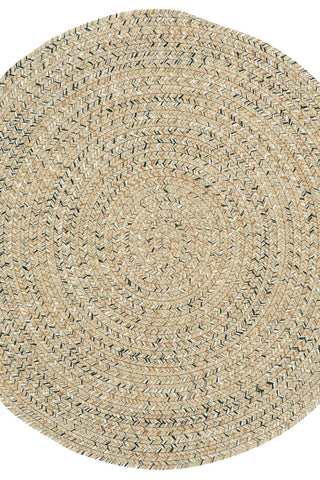 Sea Glass Shell Area Rug